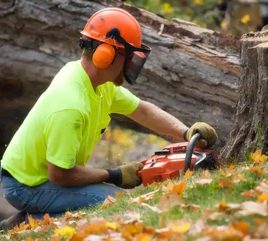 tree services Ohio